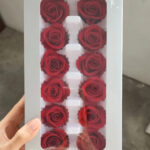 Classic Red Preserved Roses Box of Ten