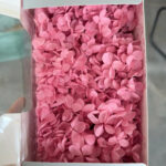 Pink Preserved Hydrangea Flower Box