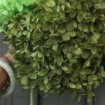 Olive Green Preserved Hydrangea Bunch