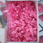 Hot Pink Preserved Hydrangea Box