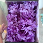Purple Preserved Hydrangea Flower Box