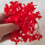 Red Preserved Hydrangea Mini Bundle