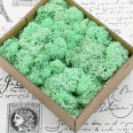 Mint Green Preserved Moss Filler Box